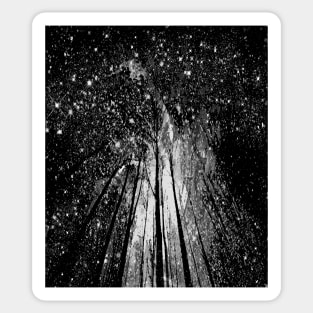STARS IN THE FOREST Sticker